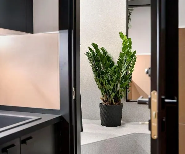 Luxury Trevi House Apartment Rome